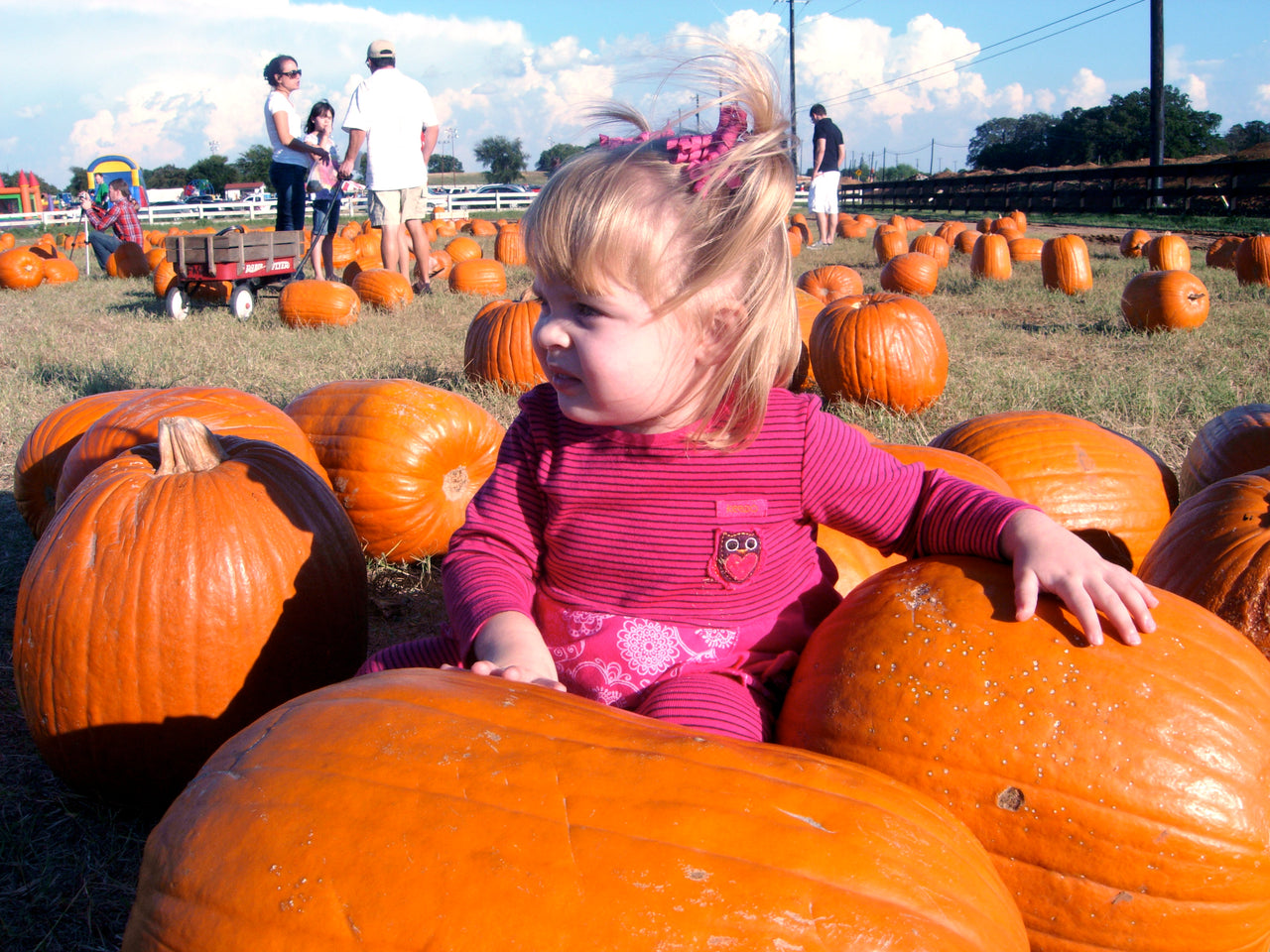 Fun Fall Activities for Your Toddler