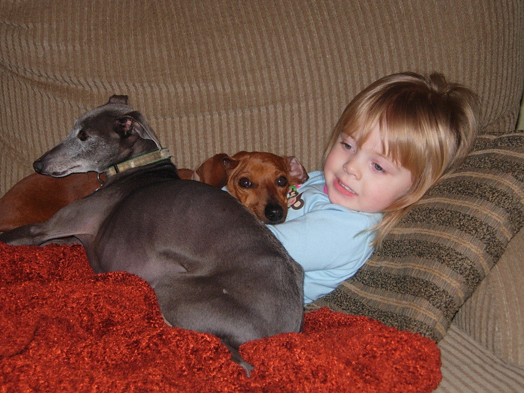 Teaching Toddlers to Be Kind to Animals Mom's Milk Boutique