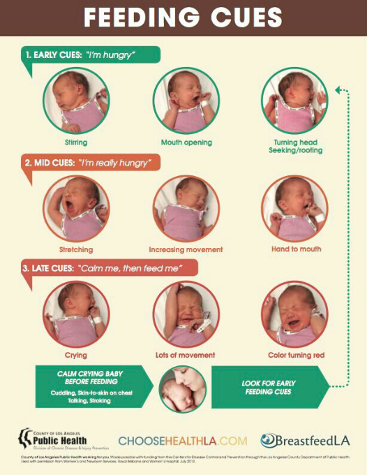 Learning Newborn Cues