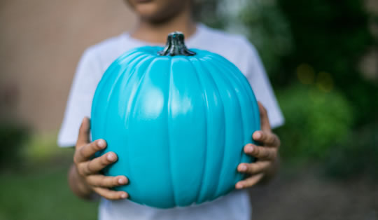 Teal Pumpkin Project