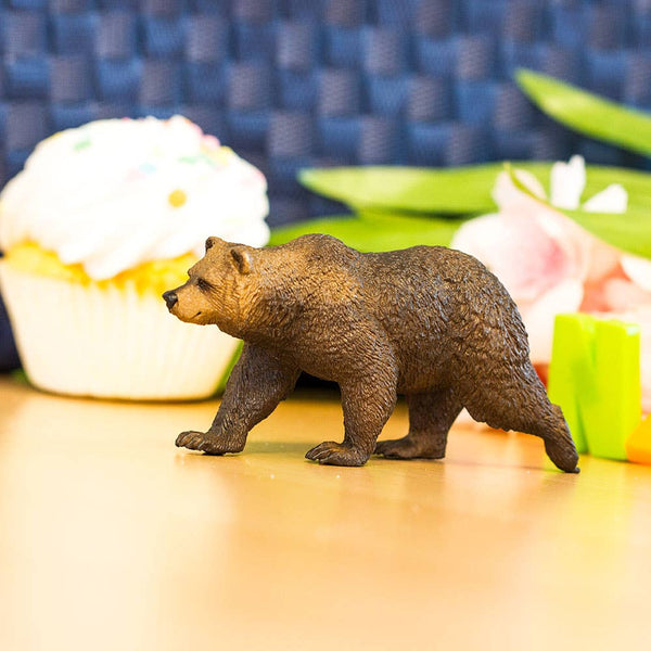 Grizzly Bear