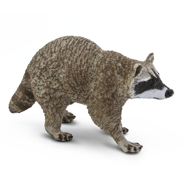 Raccoon with brown fur and black bandit mask with a ringed tail