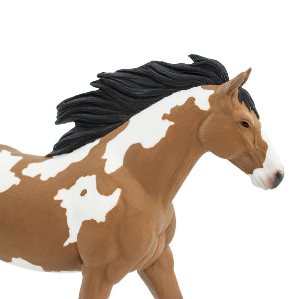 With its head held high and its mane and tail flowing in the wind, this pinto mustang stallion with the white splotches that distinguish it as a pinto, this mustang features a light brown coat and darker mane.