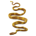 Yellow and tan Amazon Tree Boa.