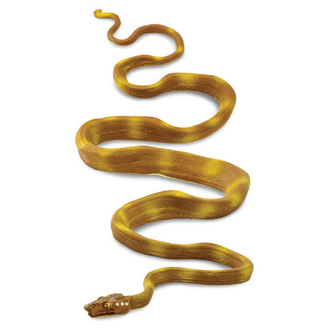 Yellow and tan Amazon Tree Boa.