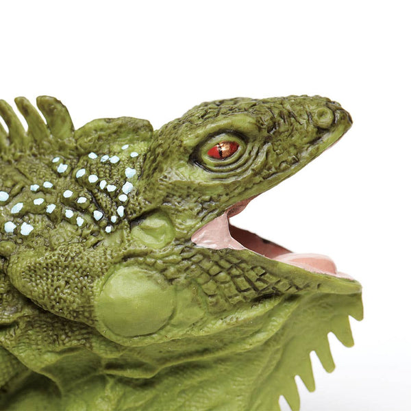 close up of Iguana
