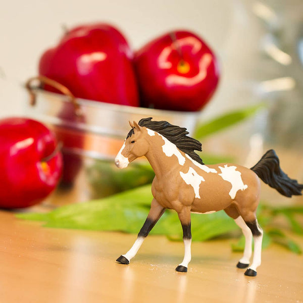 With its head held high and its mane and tail flowing in the wind, this pinto mustang stallion with the white splotches that distinguish it as a pinto, this mustang features a light brown coat and darker mane.