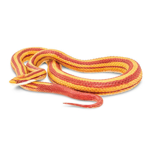 This coiled snake figurine is 5 ¼ inches long and 1 inch tall, making it a little larger than a soda can on its side. Its paint reflects the striped color morph, with orange and red stripes running down the length of its body. Its underbelly is cream-colored off-white