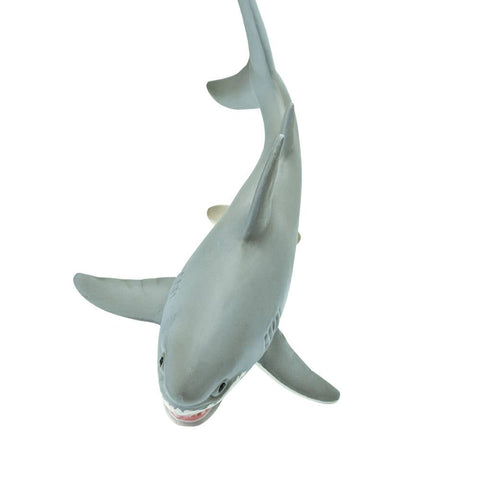 7 inches long and 3 inches wide, our great white shark figurine is a touch larger than a soda can on its side. Almost all sharks have white undersides alongside slate gray skin