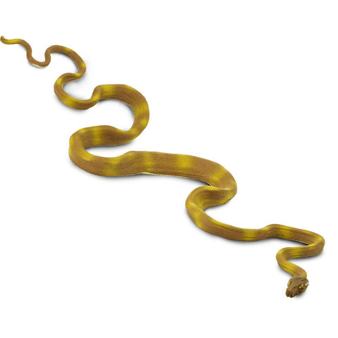 Yellow and tan Amazon Tree Boa.