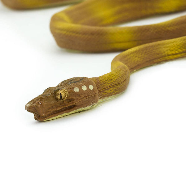 Yellow and tan Amazon Tree Boa.