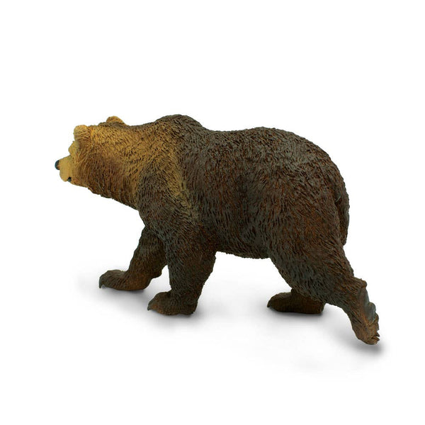 Back view of grizzly bear
