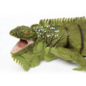 close up of face of iguana. His mouth is open