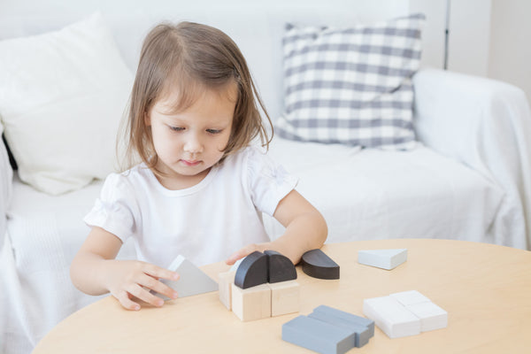 PlanToys | Fraction Blocks Toys PlanToys