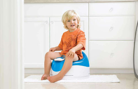 Prince Lionheart | Cushiony pottyPOD Nursery Prince Lionheart