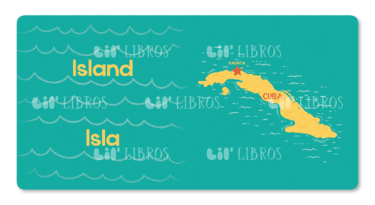 Lil' Libros: The Life Of/La Vida De Celia Books Lil' Libros