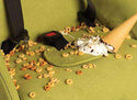 Clek Fabric Cleaning + Stain Remover Kit BabyGear Clek