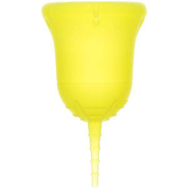 Sckoon cup store