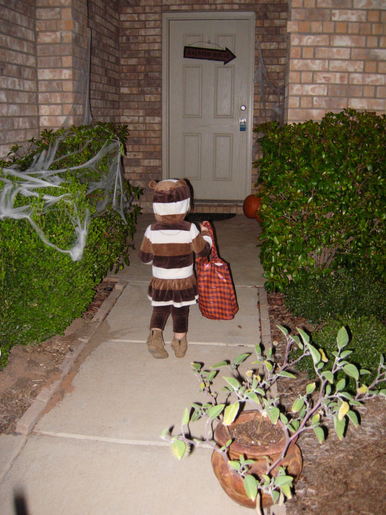 Introducing Trick-or-Treating to Your Anxious/Sensitive Child