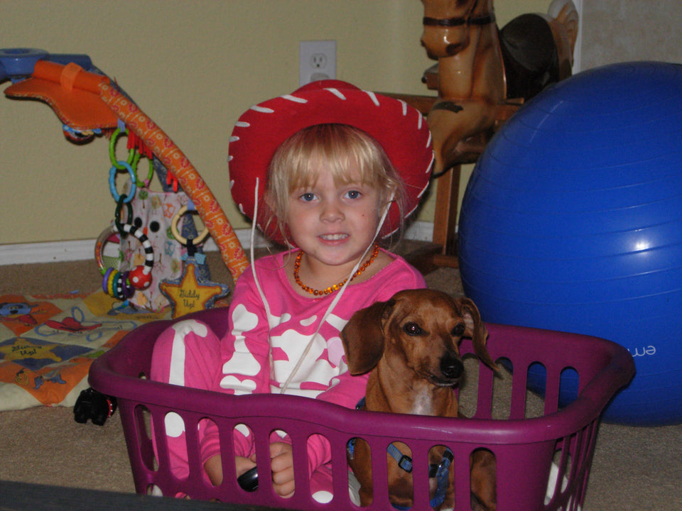 Thinking about a Dog for Your Family