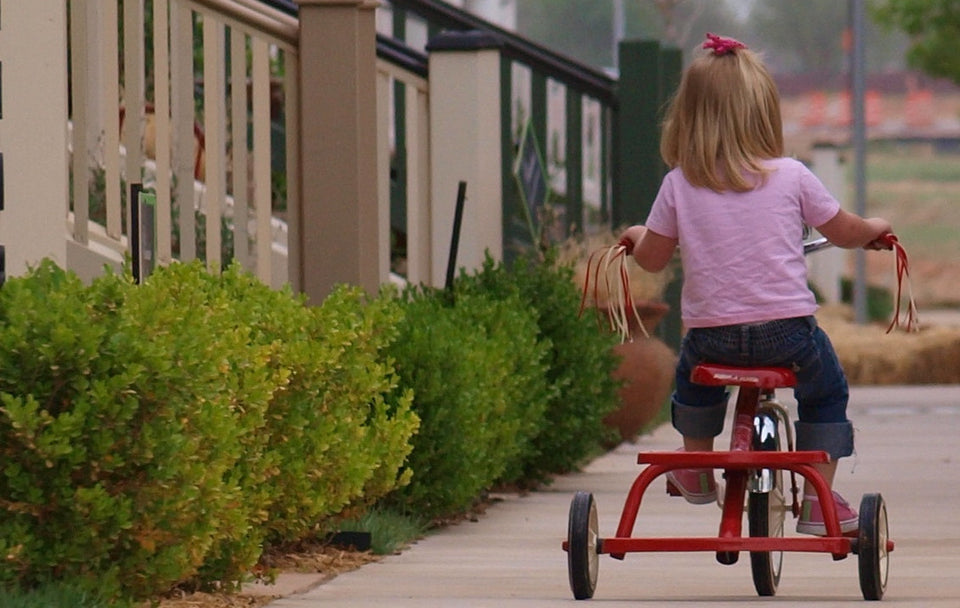 Encouraging Respect in Your Toddler