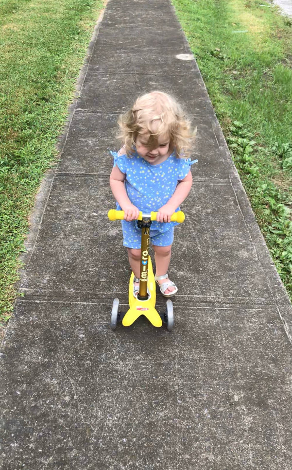 Toys Your Toddler and Preschooler will Both Love