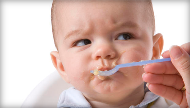 Baby Food: Back To Basics