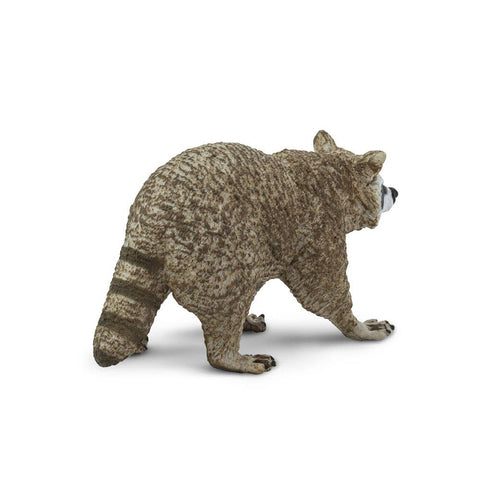 Raccoon with brown fur and black bandit mask with a ringed tail
