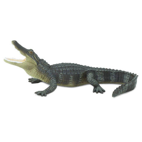 Safari Ltd. - Alligator