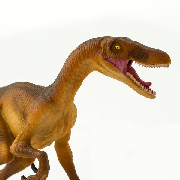 LIght brown Velociraptor