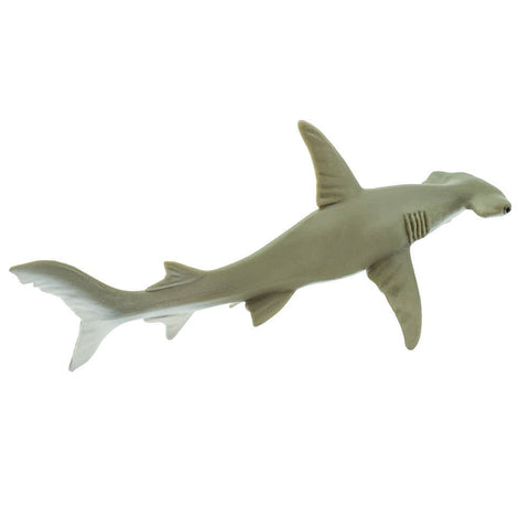 shade of grayish-brown hammerhead shark