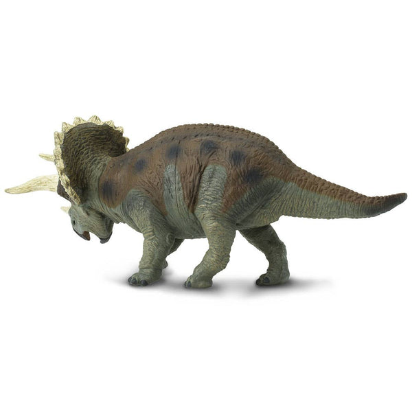 It is mostly dark gray with some earth tone patches to make it difficult for predators to see in the distance. The light gray horns and frill edges would have caught the attention of other Triceratops.