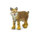 Bobcat with black markings on face. White underbelly and yellowish brown coat