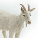 white nanny goat with horns