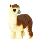 Close up Brown and tan Alpaca. Front view