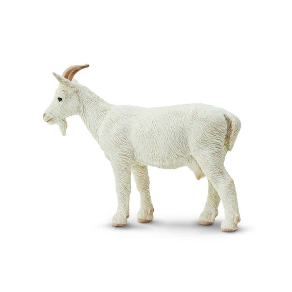 White nanny goat with horns