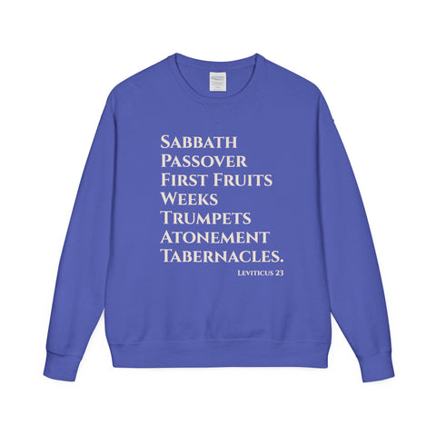 Blue sweatshirt with white text on a white background