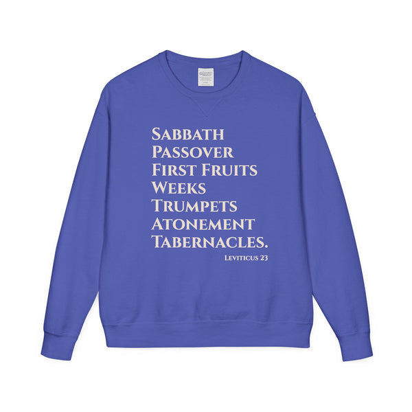 Blue sweatshirt with white text on a white background