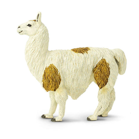 Long hair llama with a cream coat and large brown spots