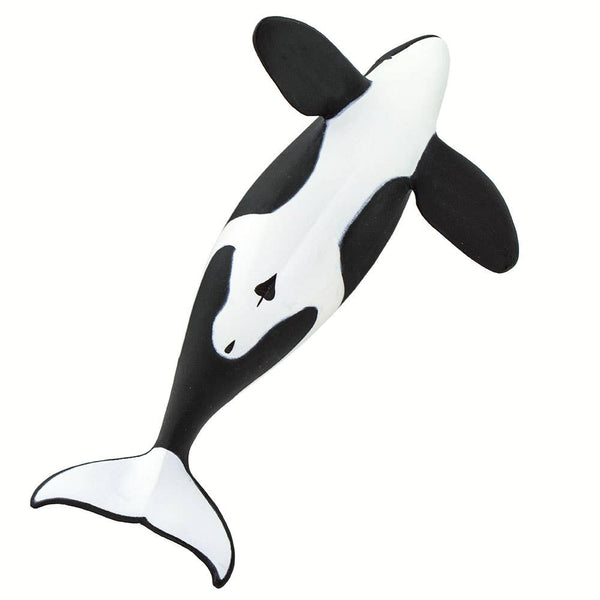 This hand-painted Orca figurine measures 6" from nose to tail, and is 3" tall at the tip of its dorsal fin. It's a little larger than a can of cola. Its colors are black above contrasted with white below, and features the whale's trademark white patches just above and behind each eye