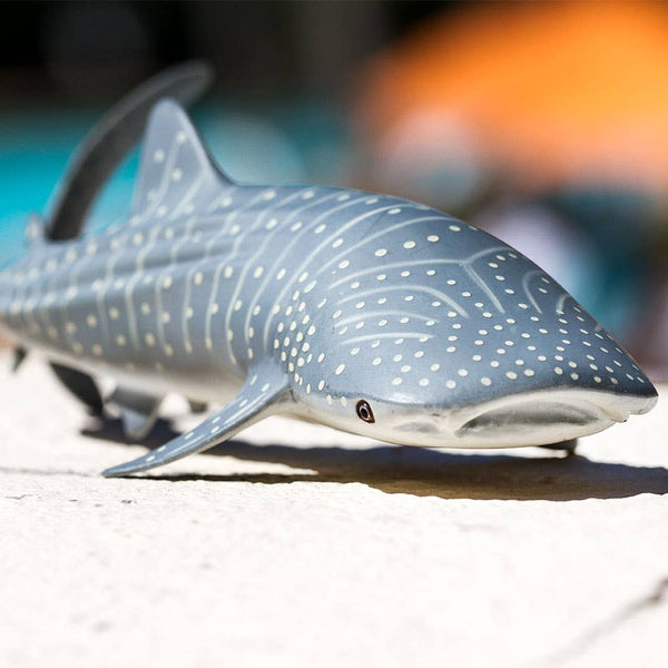 striped gray, blue, or brown skin with white spots, as well as a white underside