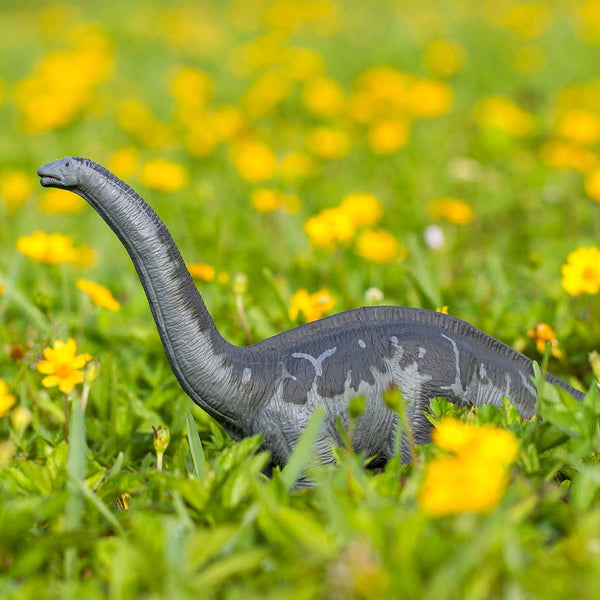 Safari Apotasuarus bluish gray with dark gray markings on top of neck down the back and onto the tail. 