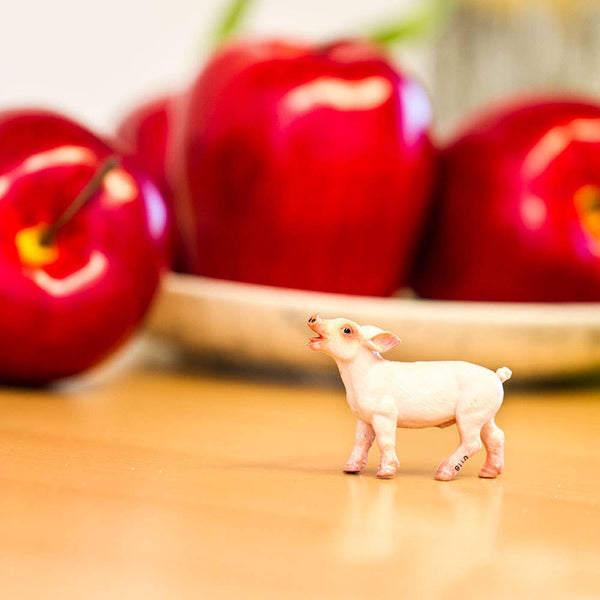 Pink PIglet with mouth open looking happy and ready to play