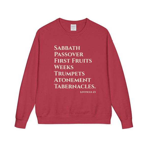 Red sweatshirt with white text on a white background
