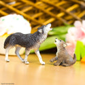 Gray wolf howling with cub