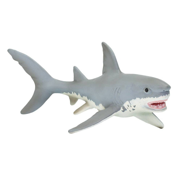 7 inches long and 3 inches wide, our great white shark figurine is a touch larger than a soda can on its side. Almost all sharks have white undersides alongside slate gray skin