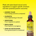 RESCUE & Bach Original Flower Remedies - RESCUE REMEDY® Dropper, Chocolate & Peppermint Glycerin 20mL - 5