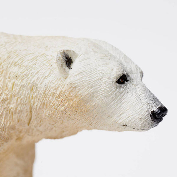 White Polar Bear