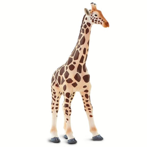 Adult Tan Giraffe