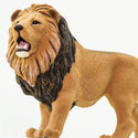 Beautiful and majestic adult lion with a dark mane and open mouth